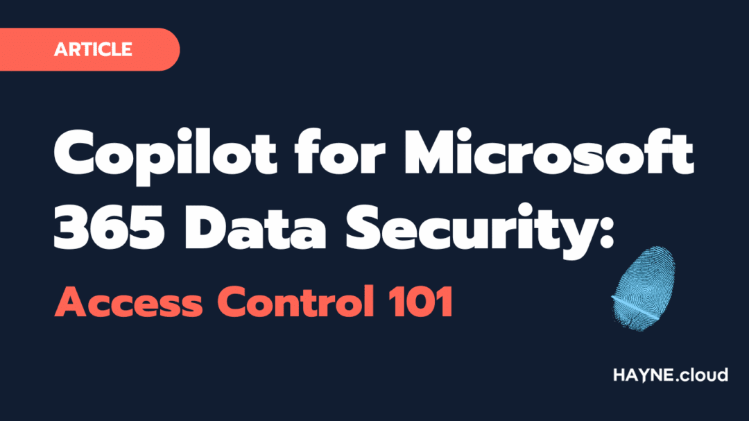 Copilot for Microsoft 365 Data Security: Access Control 101. HAYNE.cloud Blog.